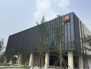 眾巨頭入駐襄陽云谷，金融外包服務(wù)繪就城市未來新藍(lán)圖